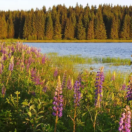 شقة Kranichsee Wgh By Interhome Weitersglashütte