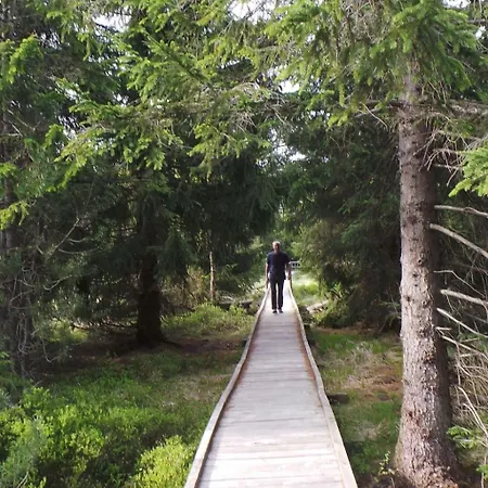 Kranichsee Wgh By Interhome Lejlighed