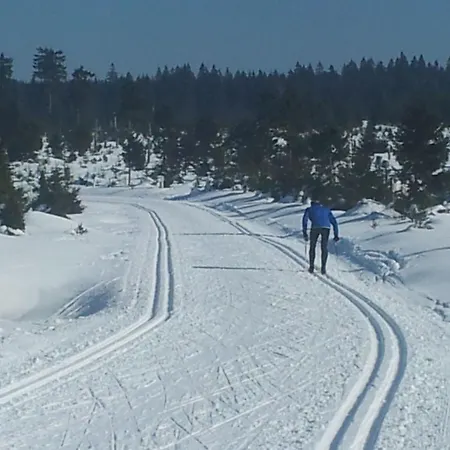 Kranichsee Wgh By Interhome شقة *