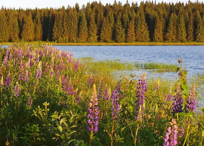 Lejlighed Kranichsee Wgh By Interhome Weitersglashütte