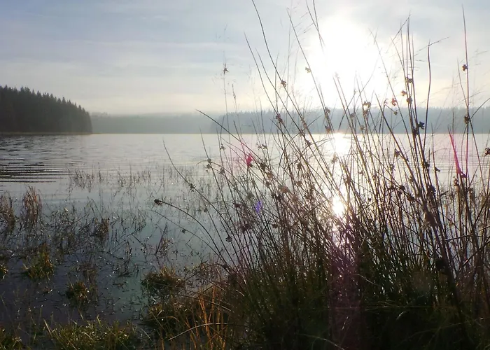 Kranichsee Wgh By Interhome *