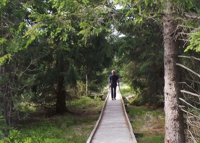 Kranichsee Wgh By Interhome Lejlighed