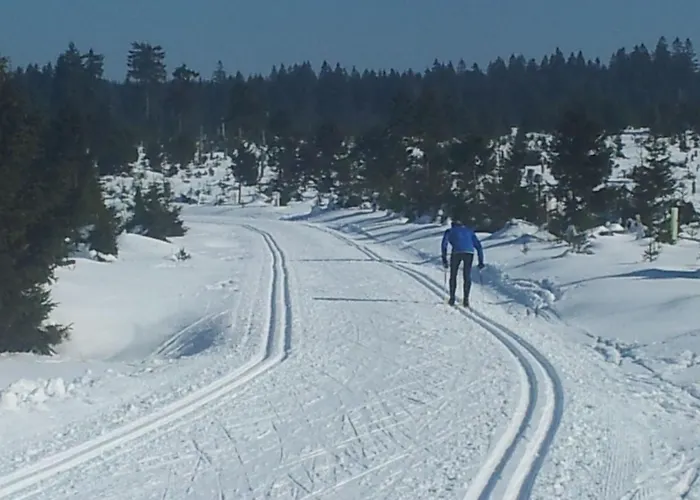 Kranichsee Wgh By Interhome Lejlighed *