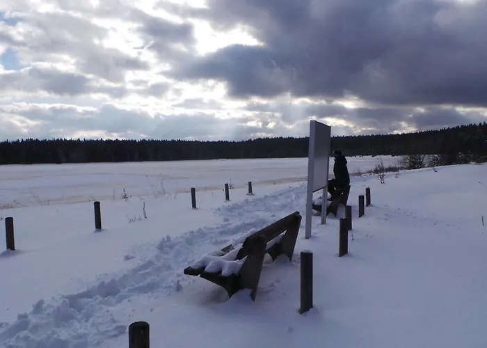 Kranichsee Wgh By Interhome Lejlighed *